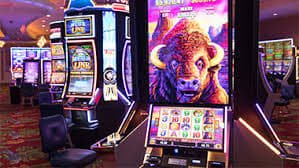 222 bet